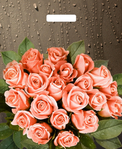 Пакет Розы после дождя с вырубной ручкой 450х380х0,060 